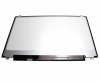 Display laptop MSI GT73VR 6RE Titan SLI 17.3" 1920X1080 30 pini eDP 60Hz. Ecran laptop MSI GT73VR 6RE Titan SLI. Monitor laptop MSI GT73VR 6RE Titan SLI