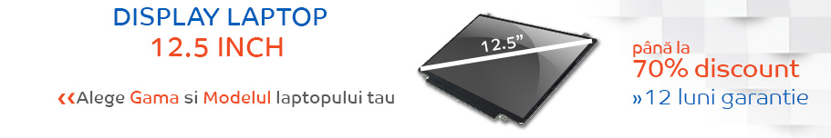 display laptop 12.5 inch