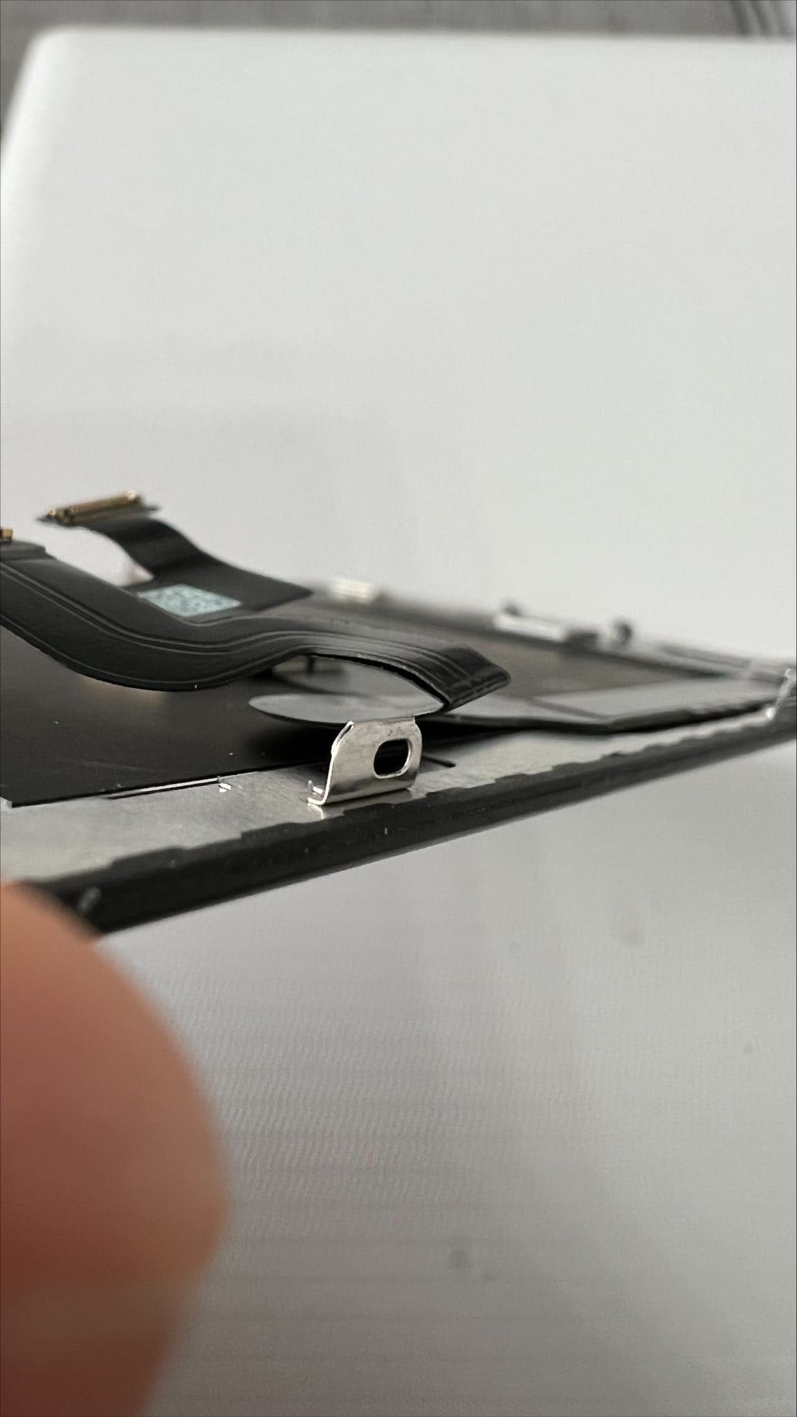 panglica-turtita-display-iphone-x.jpg panglica-turtita-display-iphone-x.jpg